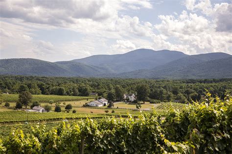 Veritas vineyard - CHARLOTTESVILLE, Va. , March 10, 2023 /PRNewswire/ -- Veritas Vineyard & Winery is excited to introduce its Supper Series, aimed at delivering collaborative culinary experiences that elevate the ...
